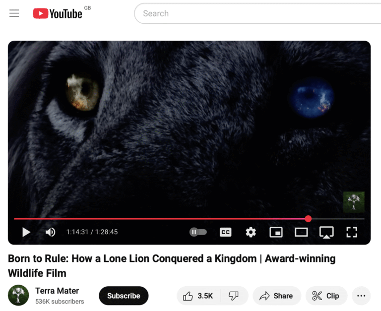 FREE MOVIE